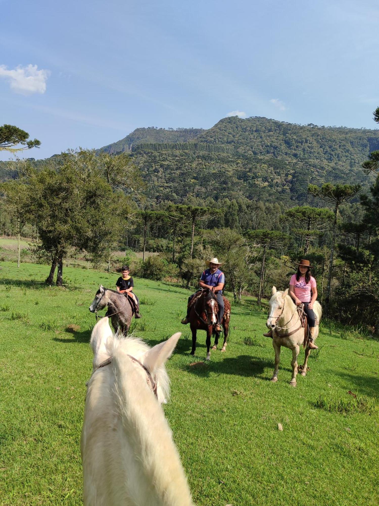 Pousada Vale da Imbuia chalé para temporada Urubici Exterior foto