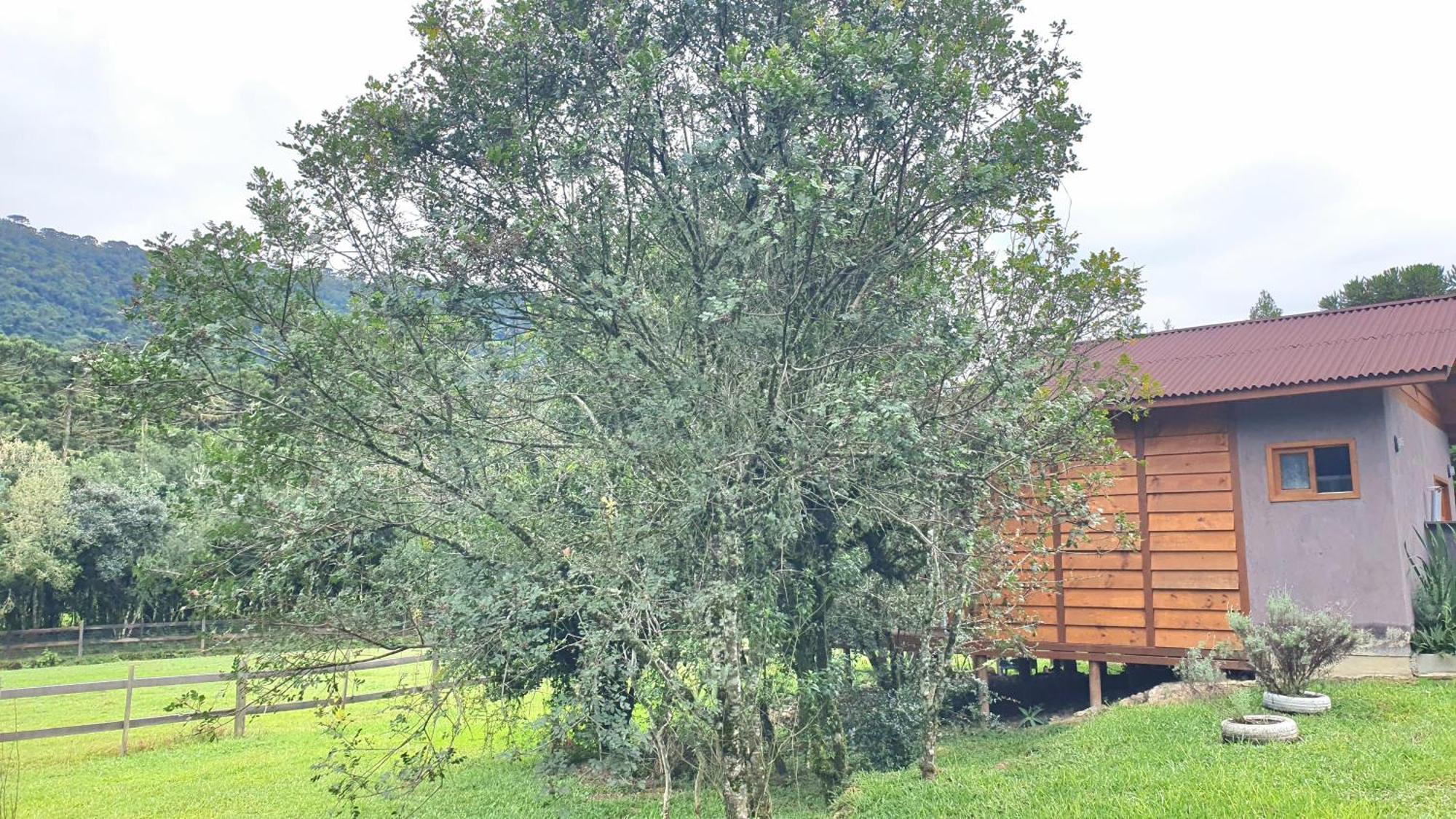 Pousada Vale da Imbuia chalé para temporada Urubici Exterior foto